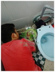 Đổ nước muối vào bồn cầu có sao không?