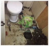 Tại sao không nên ngồi xỏm trên bồn cầu